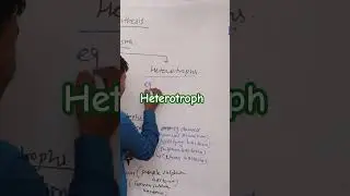 #heterotrophs #biology #digitalera