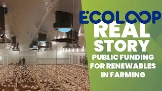 Real Stories: How Public Grants Powered a Poultry Farm&rsquo;s Energy Transition