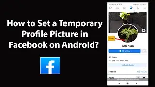 How to Set a Temporary Profile Picture in Facebook on Android?