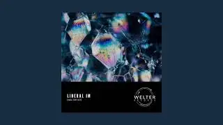 Liberal IM - Homomorphism [WELTER187]