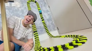 CARRINHO SUPER RADICAL QUE ANDA NAS PISTAS NA PAREDE!