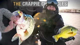 FEEDING FRENZY at Sunrise [Trophy Panfish] - The Crappie Chronicles (S6:E3)