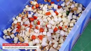 High Speed Vegetable Cutting Dicing Machine Tested on Carrots and Potatoes