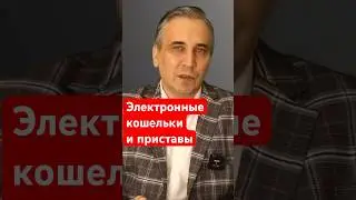 Какие электронные кошельки не видят приставы  #долги #приставы