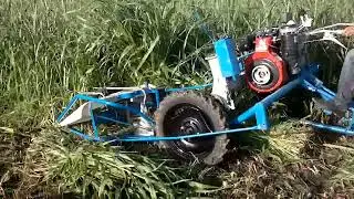Bcs Reaper Binder...contact 94640 86390........plz subscribe  channel