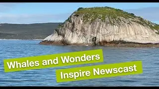 Whales and Wonders