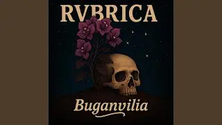 Buganvilia