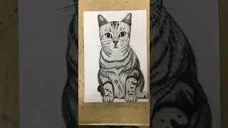draw cat🐱🎨 #satisfying #drawing #draw #shorts #short #fyp #painting #cat #fypシ #drawingtutorial
