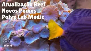 Atualização do Reef, Polyp Lab Medic, Novos Peixes #delreef18