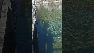 Crystal Clear Water in Croatia's Lakes: Plitvice Winter Wonderland $\mid$ Ultimate Guide