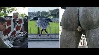 Unusual random funny pictures