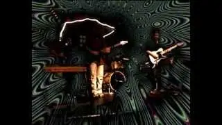 David Nelson Band
