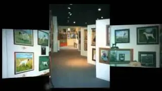 National_Bird_Dog_Museum.mp4