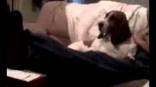 Dazey with SVU Theme Song.