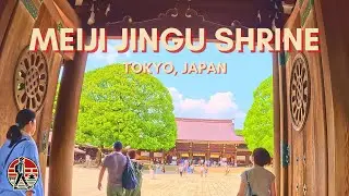 Meiji Jingu Shrine | Walk around Tokyo&rsquo;s Spiritual Sanctuary
