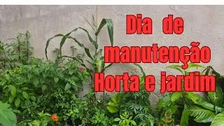 Dia de manutenção na horta e jardim #plantas #amoplantas #hortaemvaso #hortaemcasa #garden 