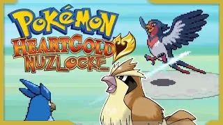 Nugget und Nugget | Pokemon Heartgold Randomizer Nuzlocke #119 | miri33 Balui Items4Sacred
