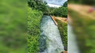 #trawel #නේ / murutha wela ginipetti palama