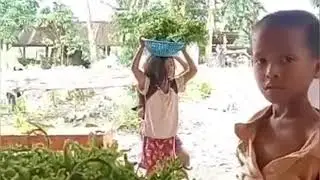 A filipino children selling FERN or PAKO to help there parents for a living