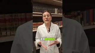 &iquest;Sab&iacute;as qu&eacute; es el hantavirus?