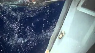 Bill Currie's On Course Team Blue Marlin Catch  from 2011 Drambuie Key West Marlin Tournament
