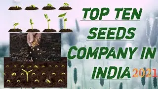 Top Ten Seeds Companies In India !!