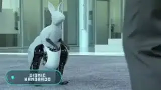 Bionic Kangaroo