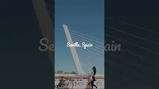 Alamillo Bridge in Seville #Spain #worldexpo #architecture