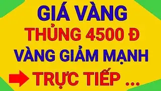 TRỰC TIẾP GIÁ VÀNG CHIỀU 2//2/2026 GIẢM KHÔNG PHANH