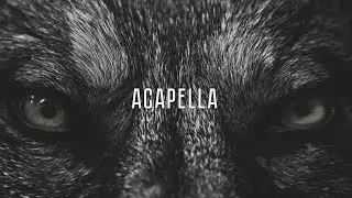 YOUCHI &ndash; Acapella