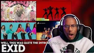 EXID | 'Whoz That Girl', 'DDD', 'Up & Down', 'Fire' MV REACTION | Quite the introduction!!