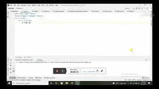 Program