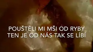 Ryba rybě - Janek Ledecký (text)