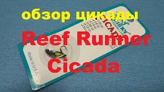 Видеообзор цикады Reef Runner Cicada по заказу Fmagazin