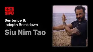 Siu Nim Tao: Sentence 8 in-depth breakdown