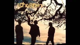 Spoonfed - EchoBrain
