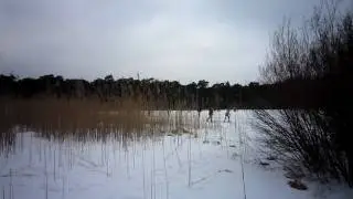 Natuurijsbaan Wite Mar Beetsterzwaag
