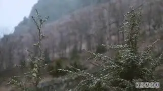 Development after merger in District Kurram