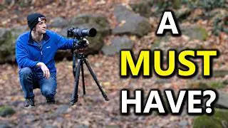 Do You REALLY Need a TRIPOD for wildlife photography?