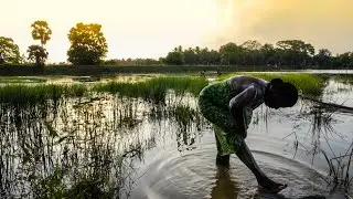 Ancient water tanks of Sri Lanka to adapt to a changing climate