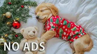 Рождественская музыка для сна собак 🐶🎄 12 часов для снятия стресса и тревоги разлуки | Без рекламы