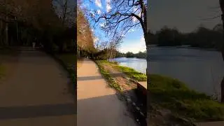 🏝️ Ness Islands & Ness Bridge 🌁 &ndash; Scenic Stroll Along the River Ness | Inverness, Scotland 🏴󠁧󠁢󠁳󠁣󠁴󠁿