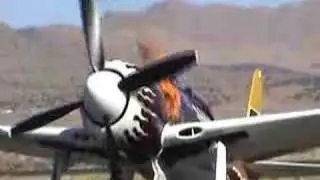 Rare Bear on Fire
