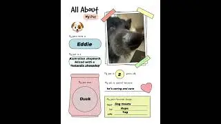 My pet