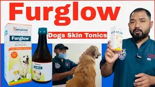 furglow for dogs || furglow for dogs uses | furglow syrup benefits in hindi | skin and coat tonic ||