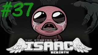 The Binding of Isaac: Rebirth -AppleByte Plays-  Episode 37 [Working Out]