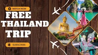 Free Thailand Trip 🇹🇭✈️ | Modicare Business Opportunity | Travel + Income 💙