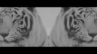 Numb - Tom Bem
