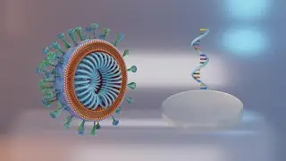 Novel coronavirus could be a hybrid of bat and pangolin viruses: study
