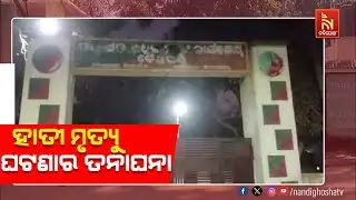 Another Elephant Died | Baliguda Forest Range Update | Belghar Wildlife Investigation 2026 | Ntv